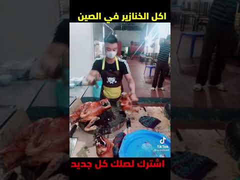 فيديو: جهاز طبخ اللحوم للكلاب