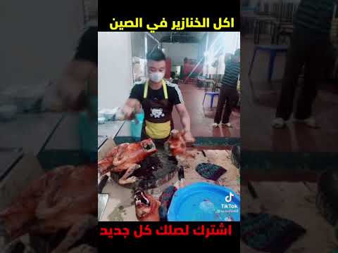اكل الكلاب في الصين شاهد كيف تقطيع الكلاب في المطعم