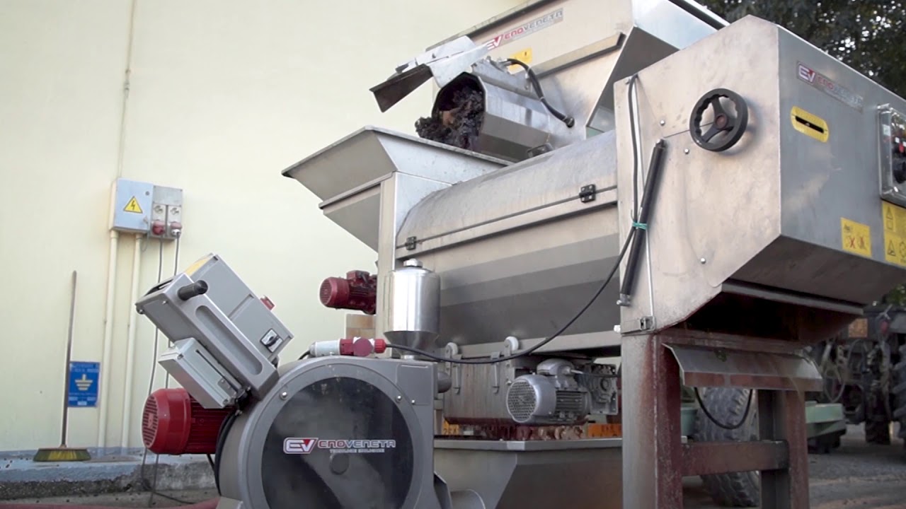 Enoveneta per Salmaso