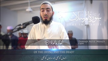 Surah AL- Mursalat - Fahad Aziz Niazi سورة المرسلات - القارئ فهد عزيز نيازي