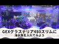 【GEX一番人気45cm水槽】グラステリア450スリム を使ってサンゴや海水魚を飼ってみましょう。初心者の方でも簡単に失敗しないで飼育できる海水魚とサンゴ選びを完全解説