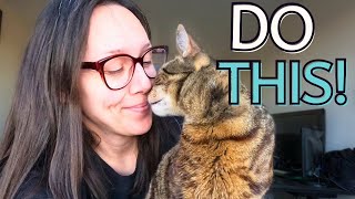 How to form a strong bond with your cat by Jess Caticles 2,154 views 3 months ago 10 minutes, 20 seconds