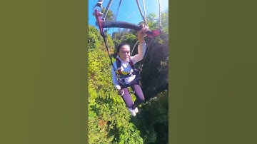 Zipline 1500m ngắm toàn cảnh rừng thông Đà Lạt tại thác Datanla