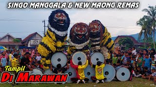 Atraksi Can Macanan Singo Manggala Dan Drumband Maong Remas Di Mrawan Mayang Jember
