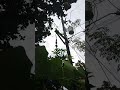 Hanging Habagat Lukban Ay Nilaglag Hanging Habagat Lukban Ay Nilaglag