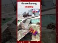 भैंसा मकान की छत पर चढ़ा, लोग हुए हैरान