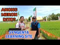 Syngenta learning site common practice vs syngenta technology  alika  virtako  sofit  chief