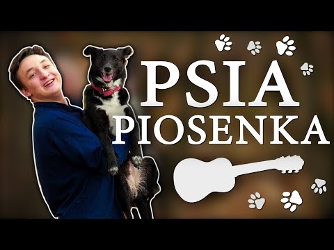 PSIA PIOSENKA (Wojtek
