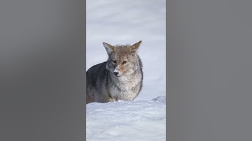 Nature Edit. #hopecore #nature #edit