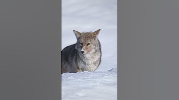 Nature Edit. #hopecore #nature #edit