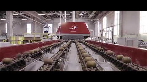 AWETA | Kiwi sorting & grading machine