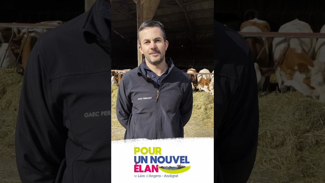 Les candidats au conseil municipal