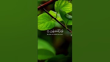 سورة الماعون تلاوة الشيخ محمد أيوب #allah #islam #quran #القرآن_الكريم #muslim #آية #muslims