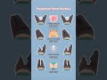 Daily workouts