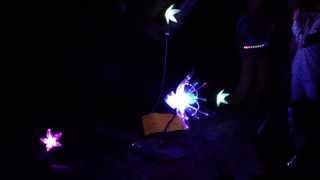 Copy of Interactive fiber optic robotic flower garden