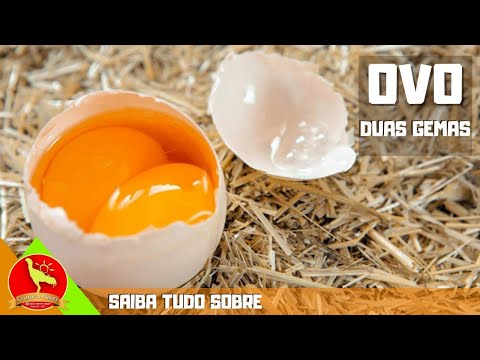 Vídeo: Por Que Pode Haver Duas Gemas Em Um Ovo