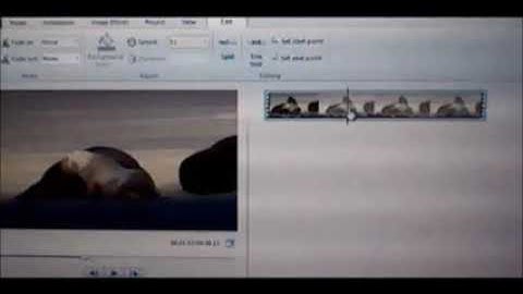 how to cut videos in Windows movie maker