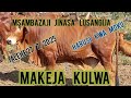MAKEJA KULWA HARUSI KWA MOKU Office Msambazaji Jinasa Lusangija 2025 MAKEJA KULWA HARUSI KWA MOKU Office Msambazaji Jinasa Lusangija 2025