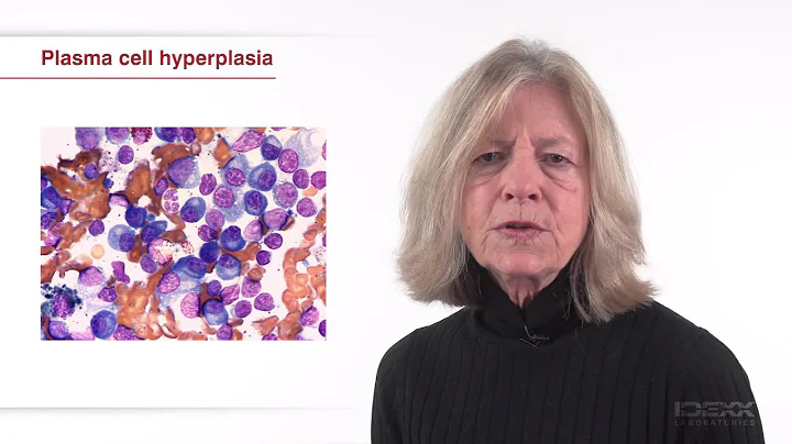 Cytology of Lymp Nodes