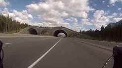 Cycling Calgary to Vancouver part 1 