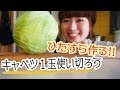 【キャベツが１玉あったなら】たっぷり使って美味しい料理に！【贅沢レシピで４品】