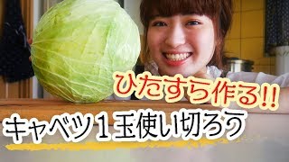 【キャベツが１玉あったなら】たっぷり使って美味しい料理に！【贅沢レシピで４品】