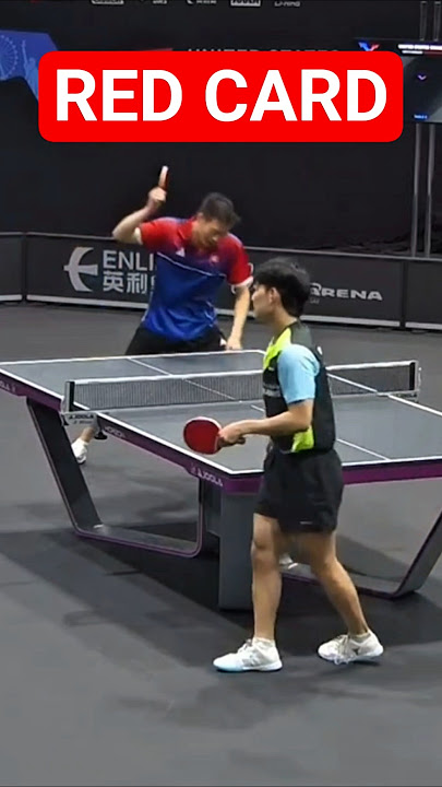 What's REALLY Going On with Wang Yang's Table Tennis Disqualification?