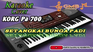 karaoke SETANGKAI BUNGA PADI (cover pa 700)