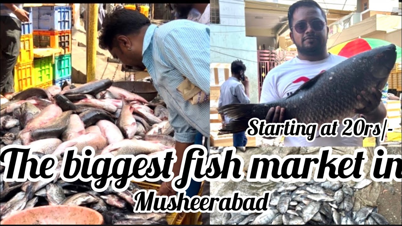 The biggest fish 🐠🐠market in Hyderabad and musheerabad starting just 20