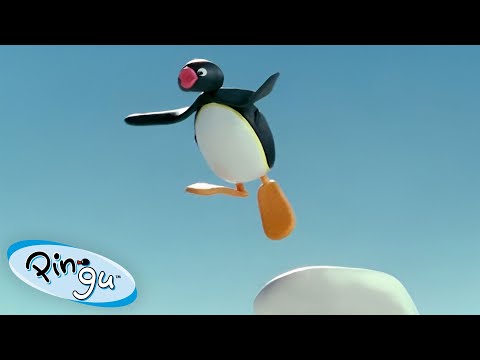 Pingu Pushes To The Limit Pingu Official Channel Cartoons For Kids