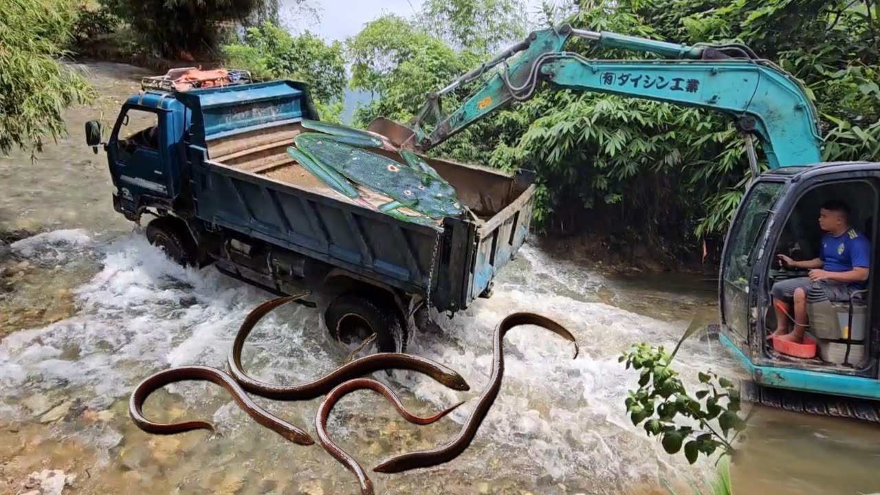 the driver and the girl Excavator and truck drivers Carrying sand streams for people to build roads