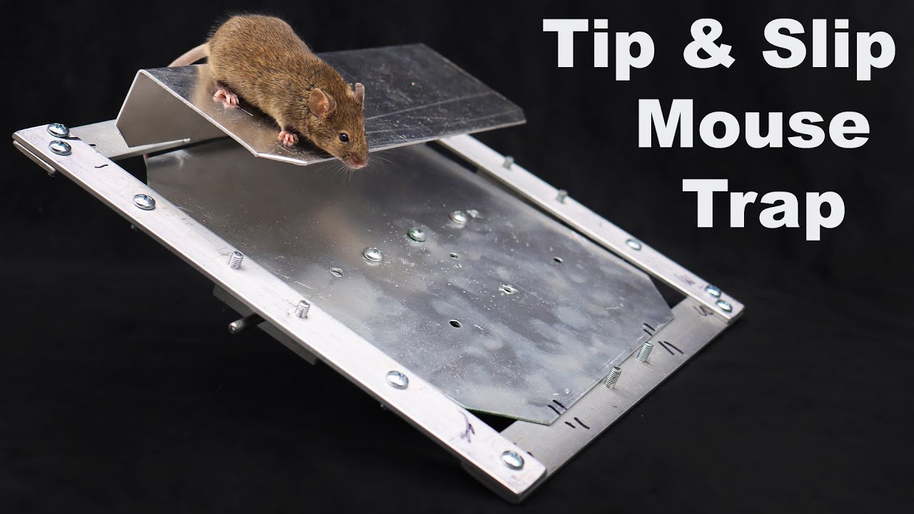 4 Unique mouse/rat traps 