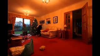 ChristmasTree