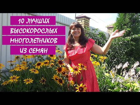 10 ЛУЧШИХ МНОГОЛЕТНИКОВ из СЕМЯН! МНОГОЛЕТНИЕ цветы и растения для сада.