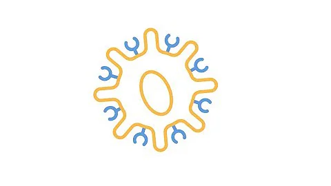 The science behind CAR-T cell therapy