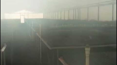 Fog in Plant Propagation