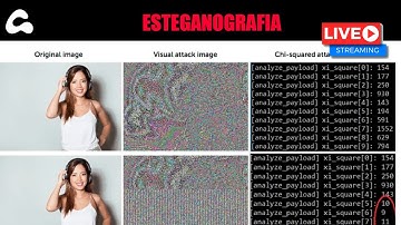 ESTEGANOGRAFÍA - EL ARTE DE OCULTAR INFORMACIÓN