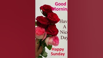 happy happy Sunday #flowers #goodmorning #song #unfrezzmyaccount #hindisong