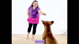 Teach Your Dog Boing, the Jump on Cue Trick screenshot 3