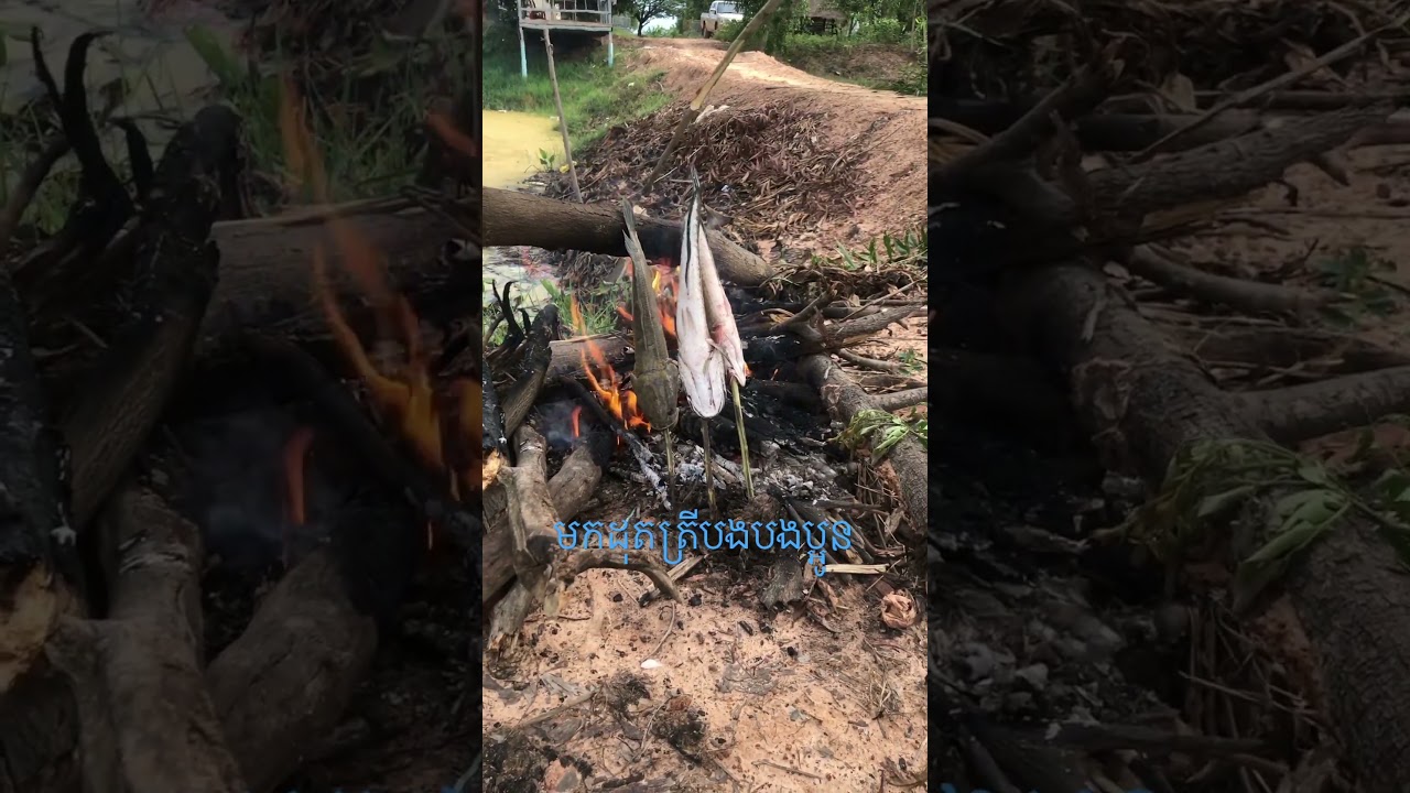 មកដុតត្រីបងប្អូន