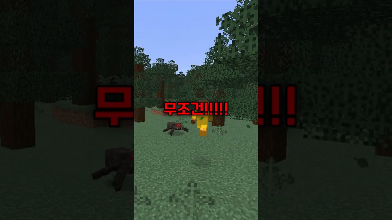 만나면 무조건 도망쳐야 되는 거미