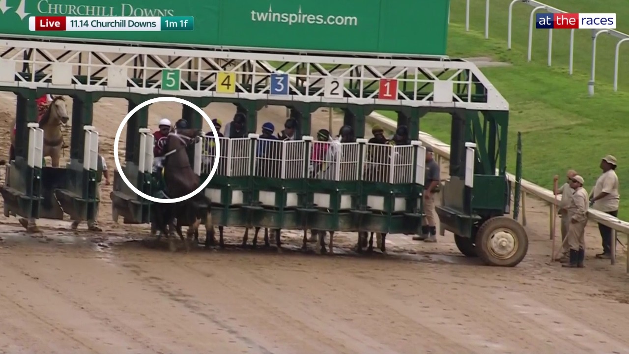 Pre-race drama couldn't stop Magnitude | 2026 Stephen Foster Stakes