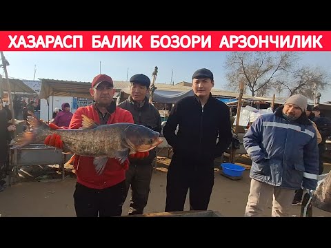 ХОРАЗМ ХАЗАРАСП БАЛИК БОЗОРИ ЯНГИ НАРХЛАРИ 1 МАРТ 2025-ЙИЛ !!! ХОРАЗМ ОБЗОР