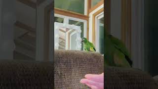 He Knows The Difference