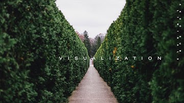 MASTER VISUALIZATION ―∎ affirmations - 𝘝𝘪𝘷𝘪𝘥 𝘝𝘪𝘴𝘶𝘢𝘭𝘴