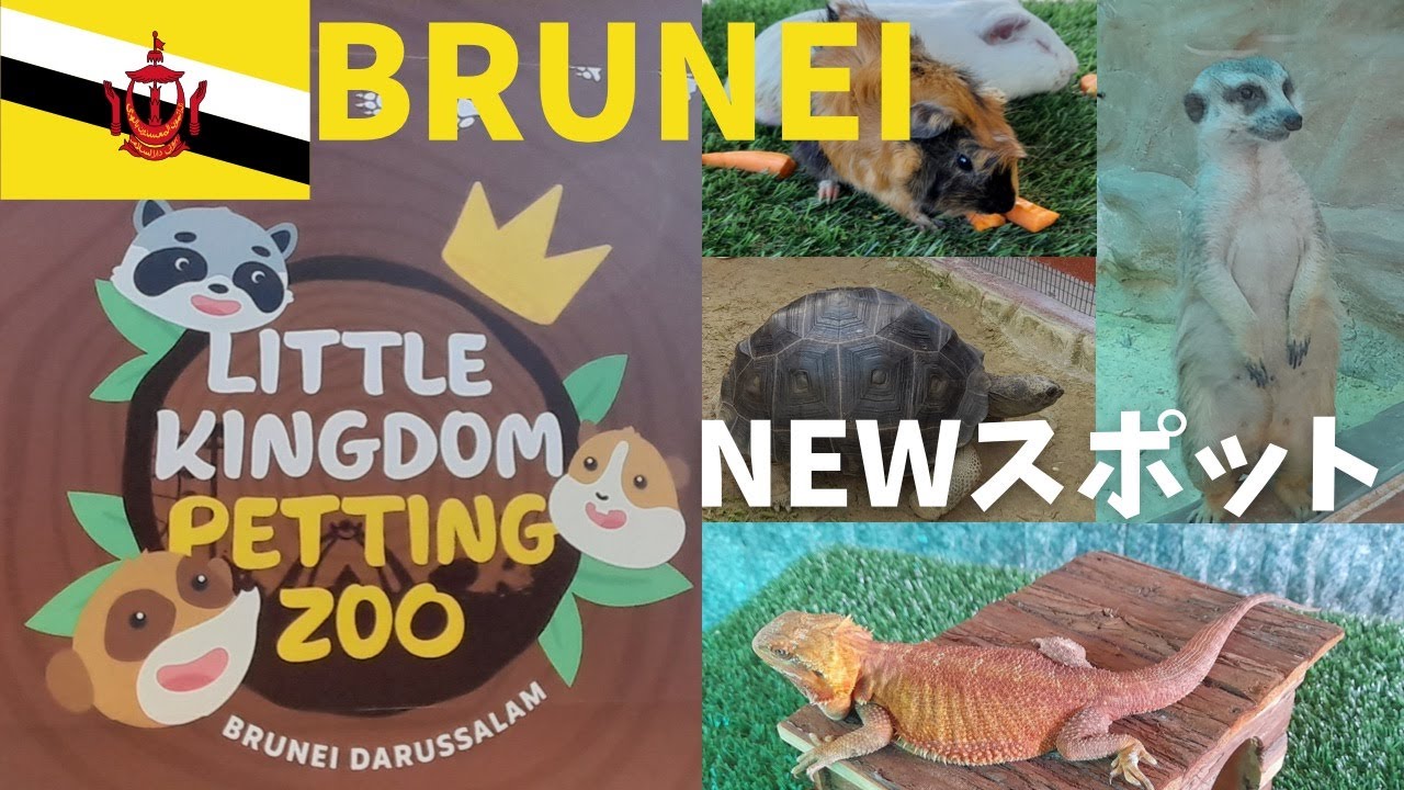 1 BRUNEI STAYCATION In 2022 Visited 1-brunei-staycation-in-2022-visited