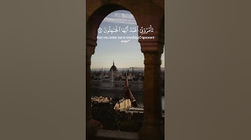 ‏ ‏ياسر الدوسري | سورة الزمر | الاية 61-66