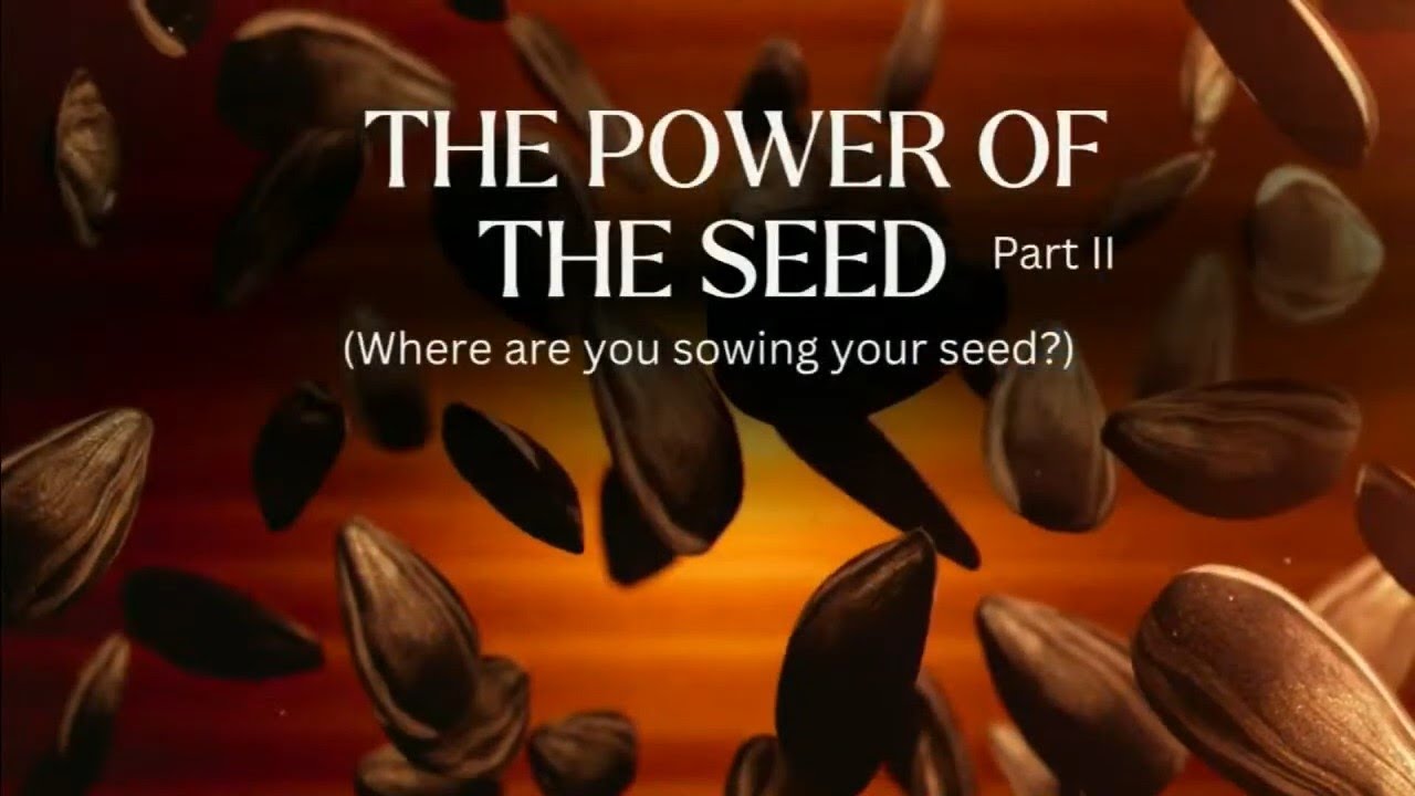 The Power Of The Seed ,Part II (Where are you sowing your seed?)(Sermon ...