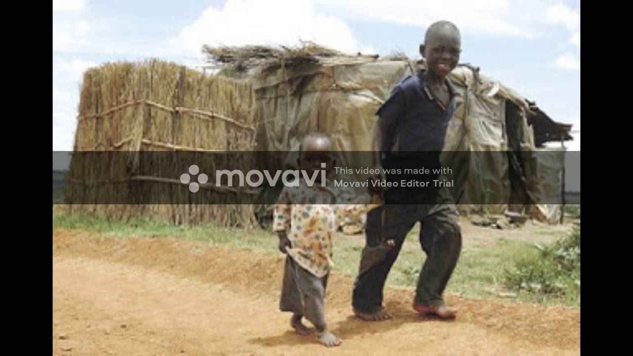 Leonard Dembo  Zvaunoda Handizvigoni