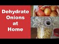 How to Dehydrate Onions at Home | How Long Does it Take to Dehydrate Onions? |